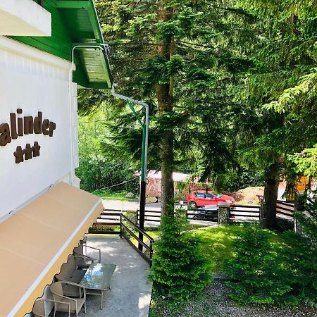 Pensiune & Restaurant Kalinder Szászbuda Kültér fotó