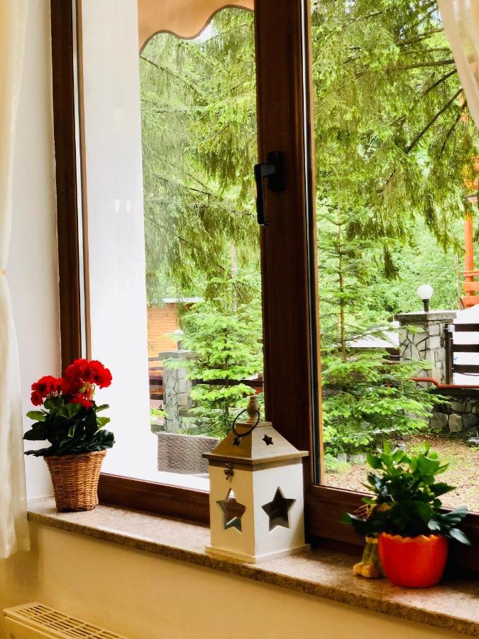 Pensiune & Restaurant Kalinder Szászbuda Kültér fotó