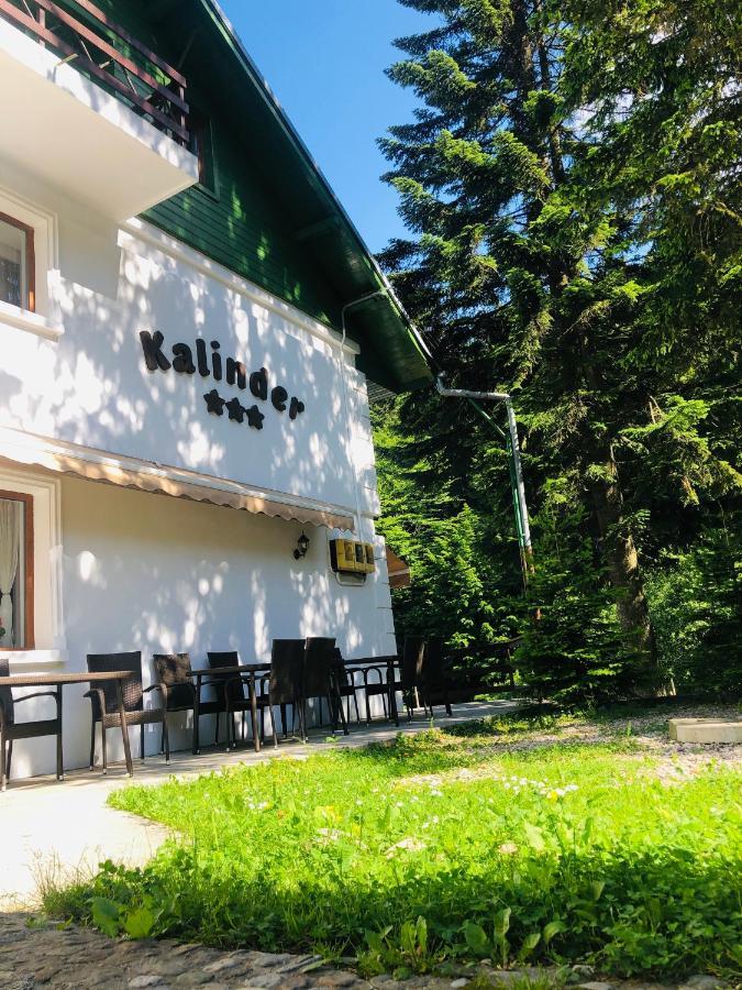 Pensiune & Restaurant Kalinder Szászbuda Kültér fotó
