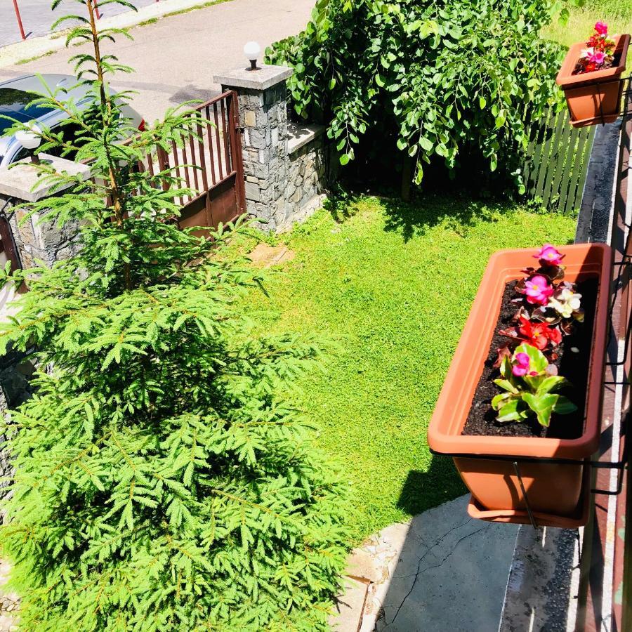 Pensiune & Restaurant Kalinder Szászbuda Kültér fotó